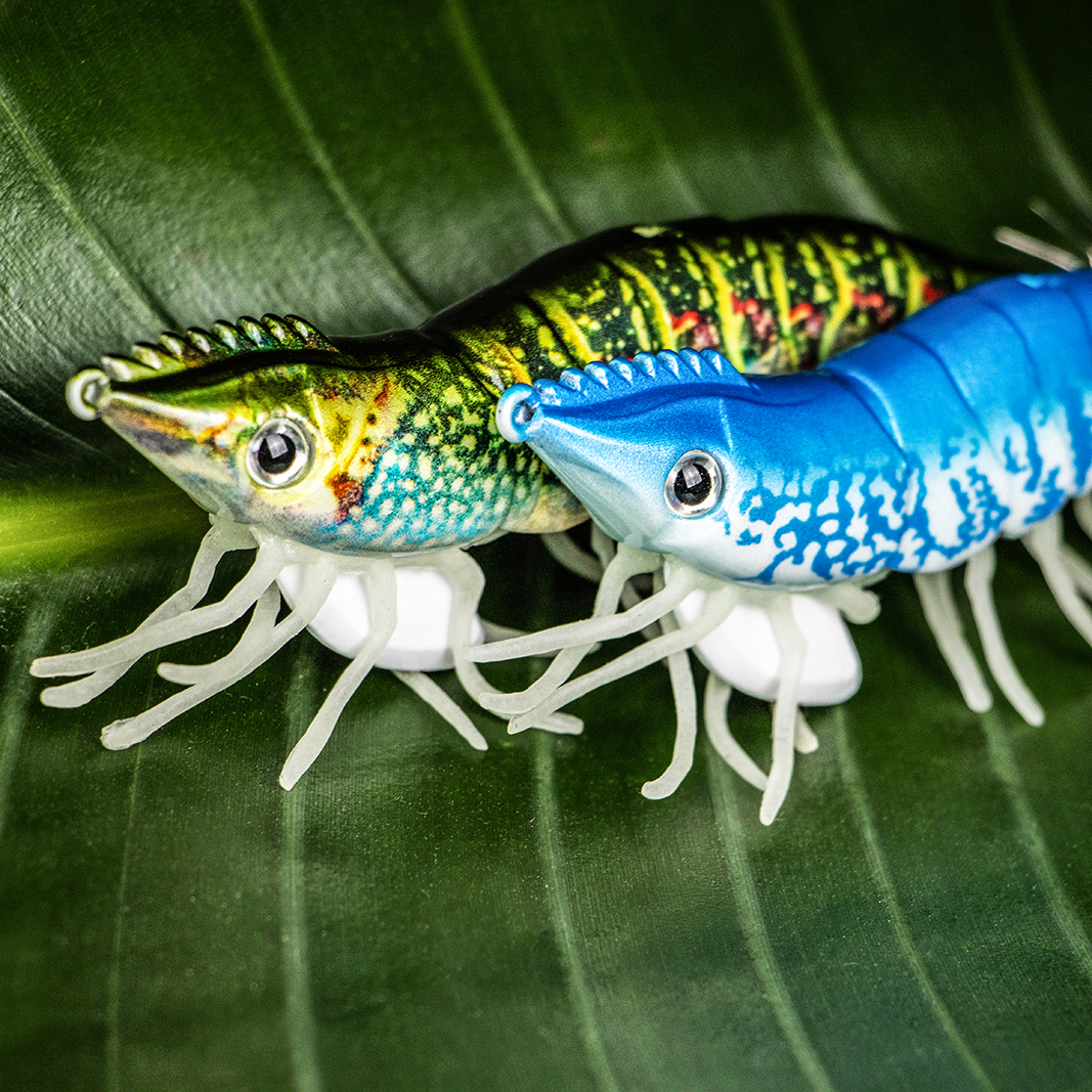 icast show