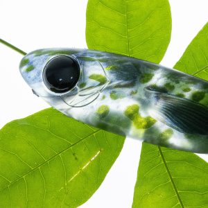 51028 140g 245mm Soft Bait Flexible Thick Body