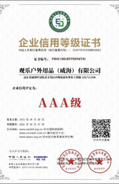 company credit rating